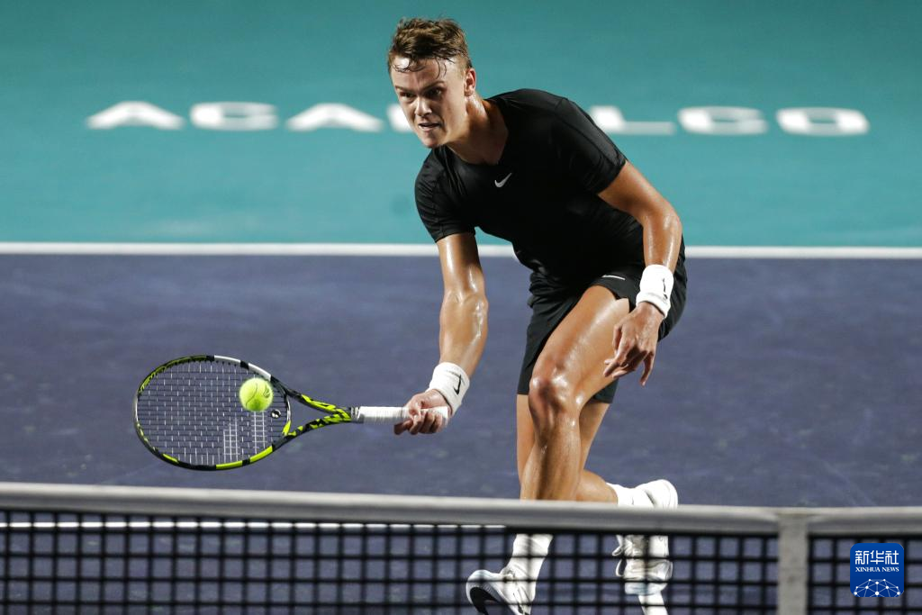 不仅体现了 不仅体现了