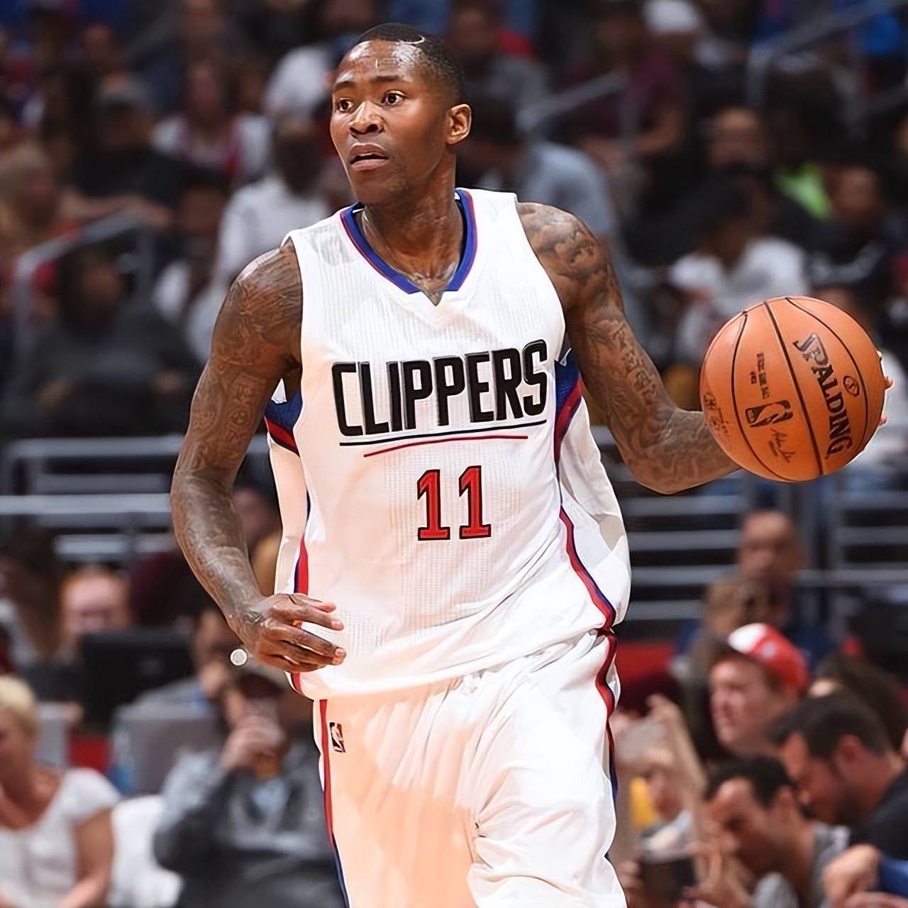 成功适应 成功适应